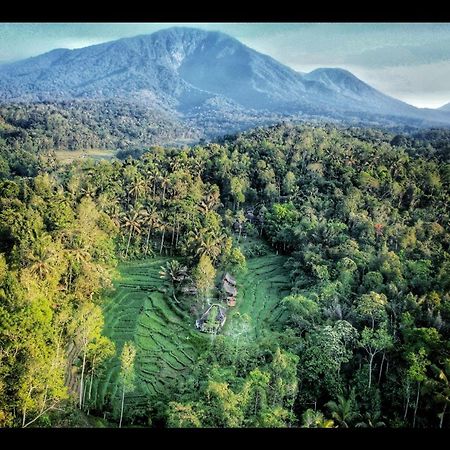 Tepi Sawah Lodge & Retreat Jatiluwih Exterior photo