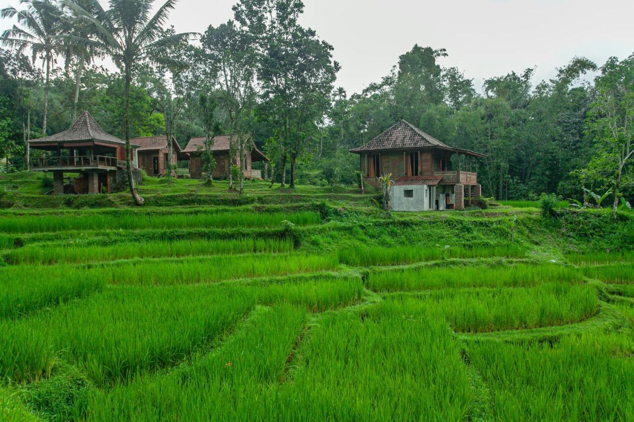 Tepi Sawah Lodge & Retreat Jatiluwih Exterior photo