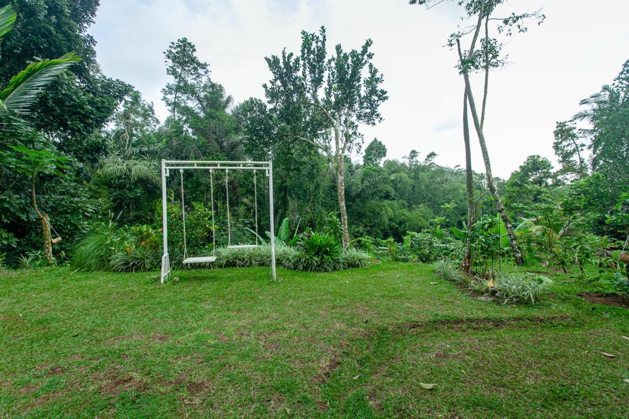 Tepi Sawah Lodge & Retreat Jatiluwih Exterior photo